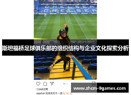 斯坦福桥足球俱乐部的组织结构与企业文化探索分析