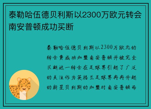泰勒哈伍德贝利斯以2300万欧元转会南安普顿成功买断